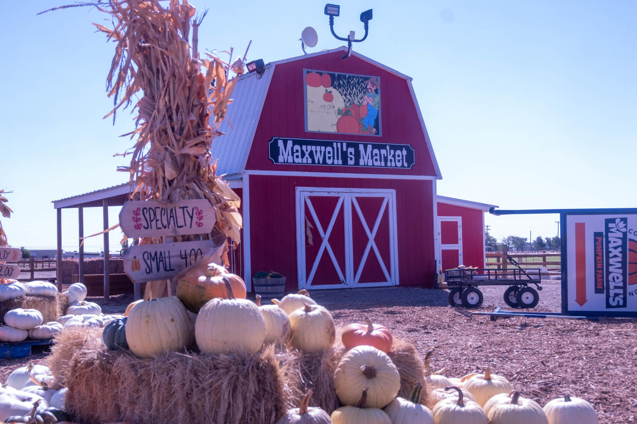 Seen in this September 2021 file photo, Maxwell's Pumpkin Farm opens for the fall season on Saturday, Sept. 21 and runs through Nov. 3.