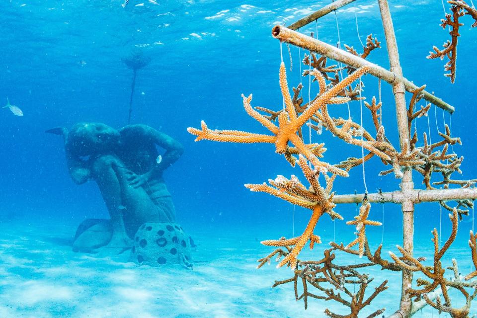 An underwater sculpture and coral nursery at the Bahamas Reef Environment Educational Foundation