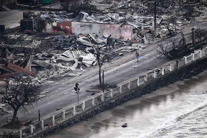 View of the damage on Maui