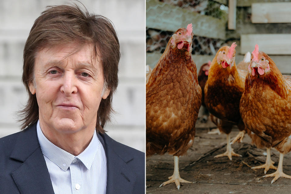 Paul McCartney