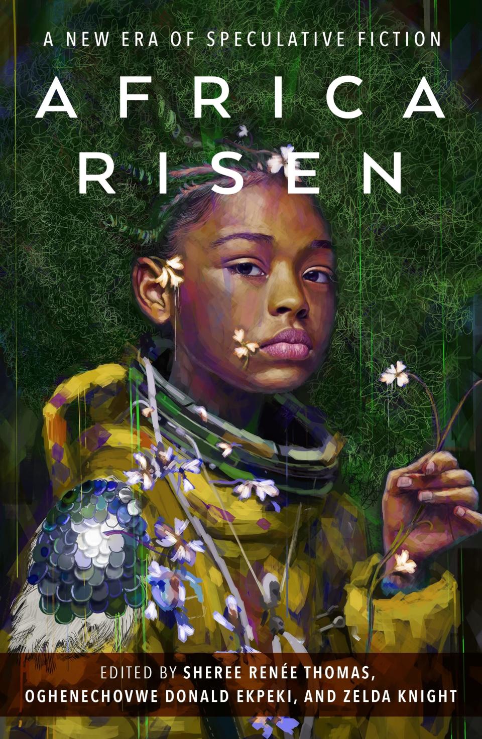 Africa Risen book cover