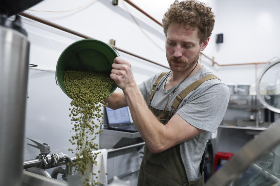 Brewer Scott Peterson adds hops to a kettle of wort while brewing a German-style Pilsner at Von Ebert Brewing in Portland, Ore., Sunday, Oct. 22, 2023. The craft brewery have had hops they depend upon from Europe impacted by hot, dry summers over the last couple of years. That’s why some researchers are working on varieties of hops that can better withstand summer heat. (AP Photo/Amanda Loman)