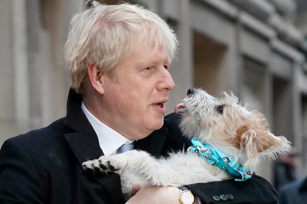 Prime Minister Boris Johnson with his own dog Dilyn. (Photo: Christopher Furlong via Getty Images)