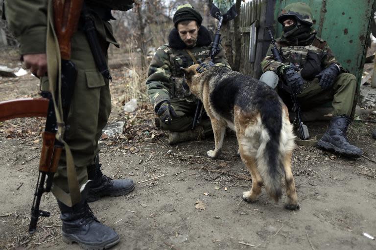 Ukrainian servicemen pet a dog at their position near the village of Peski, next to the eastern city of Donetsk, on November 11, 2014