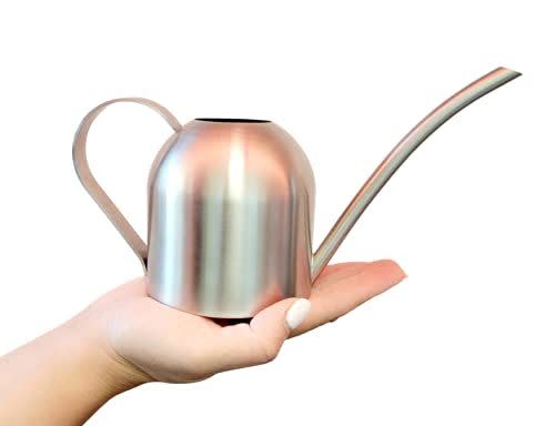 7) Stainless Steel Watering Can