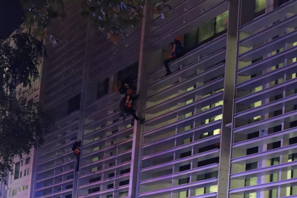 Animal rights activists have scaled the Defra building in London. (Animal Rebellion)