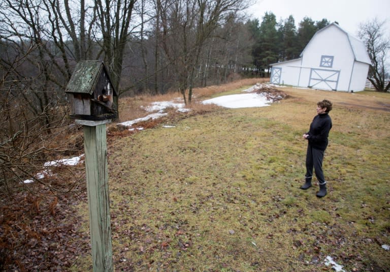 Maryann Borden looks over her yard at Twin Creek, which she says is not the same since Nestle began pumping water in the region