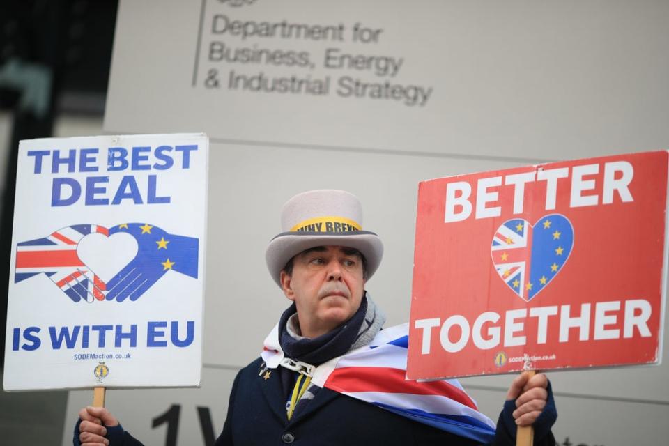 Anti-Brexit protester Steve Bray (Aaron Chown/PA) (PA Archive)