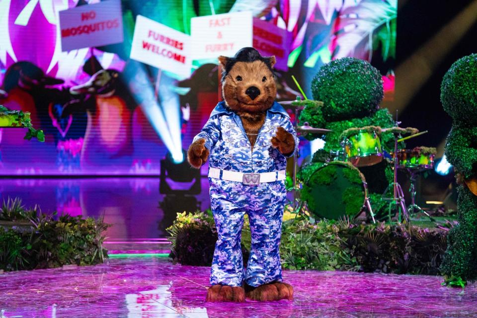 masked singer i'm a celebrity wombat