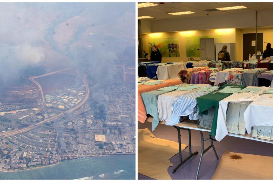 Terrible: más de 3,000 mascotas están desaparecidas tras incendios en Hawaii 