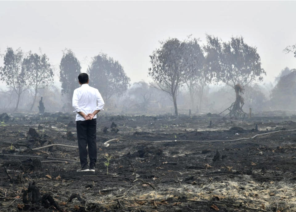 In this photo released by Indonesian Presidential Secretariat, Indonesian President Joko Widodo inspects a burnt forest in Pelalawan, Riau province, Indonesia, Tuesday, Sept. 17, 2019. Widodo traveled to the area hardest hit by forest fires, as neighboring countries urged his government to do more to tackle the blazes that have spread a thick, noxious haze around Southeast Asia. (Laily Rachev, Indonesian Presidential Secretariat via AP)