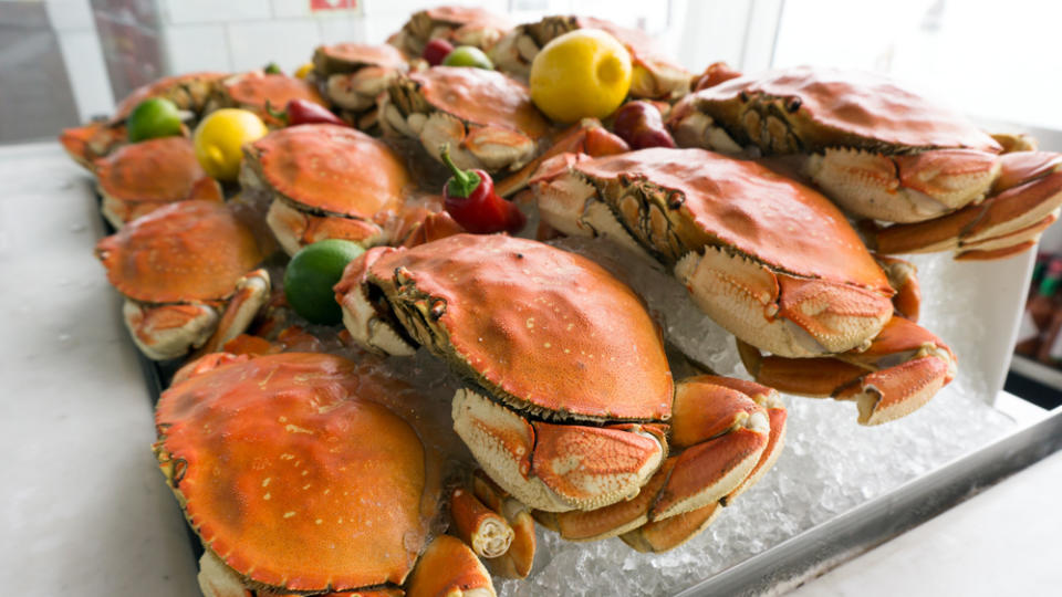 Dungeness crab on ice for sale