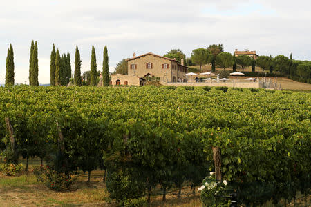 A newly restored medieval hamlet and valley