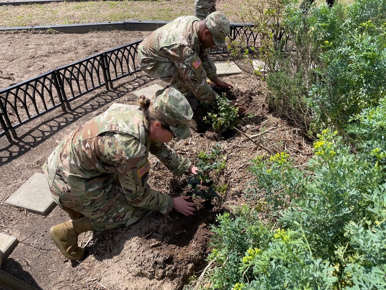 U.S. Army Col. Diana Weber (left) and Col. Reginald Evans plant blueberry bushes as the first new plantings at Fort Gordon's reopened community garden, March 29, 2023, at Fort Gordon.