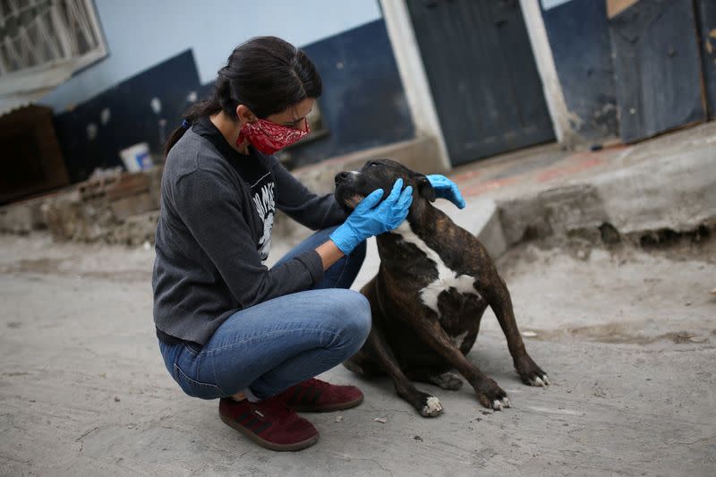 Tatiana Aguayo, an animal rights activist, cuddles a stray dog while wearing a face mask, amid the coronavirus disease (COVID-19) outbreak in Bogota