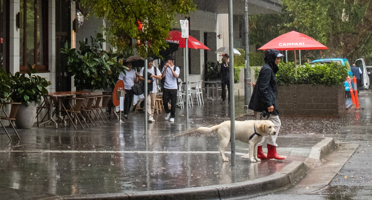 Image of Australians standing in the rain.