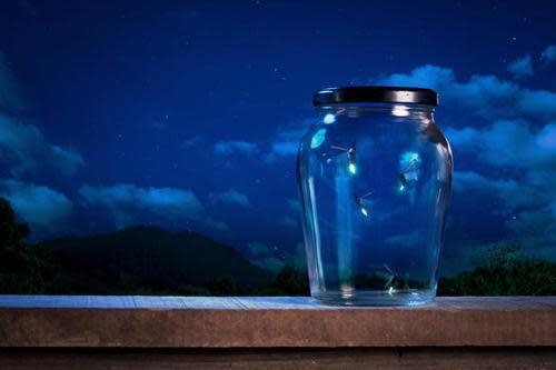 In the Great Smoky Mountains, fireflies have become a source of tourism —  and solace - The San Diego Union-Tribune