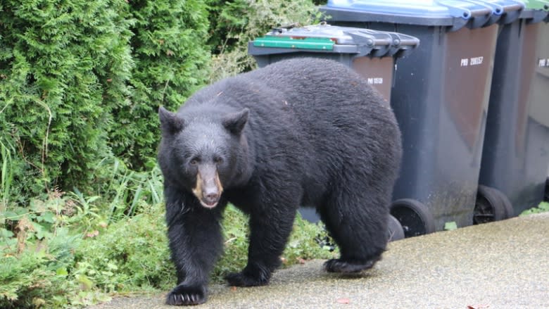 Human-wildlife conflict prevention ramps up for spring