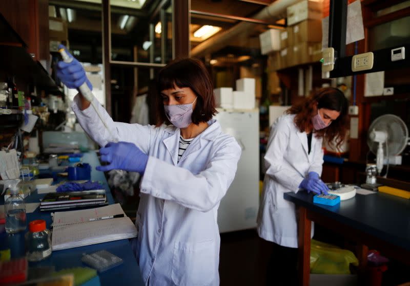 Silvina Sonzogni, investigadora asistente del CONICET (Consejo Nacional de Investigaciones Científicas y Técnicas), trabaja junto a la estudiante Eliana Rozowykwiat, en el laboratorio de Neurogenética de la Universidad de Buenos Aires