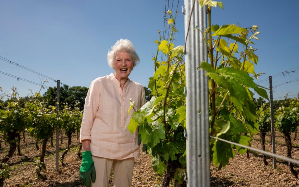 judy skeet at wyfold vineyard - Andrew Crowley/The Telegraph