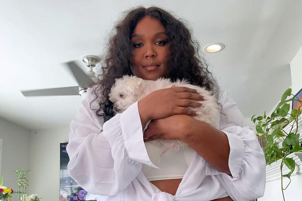 <p>Lizzo/Instagram</p>