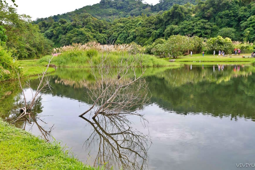 桃園大溪｜月眉人工濕地生態公園