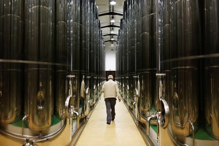 A man walks in a cellar in an olive oil cooperative in Porcuna, southern Spain
