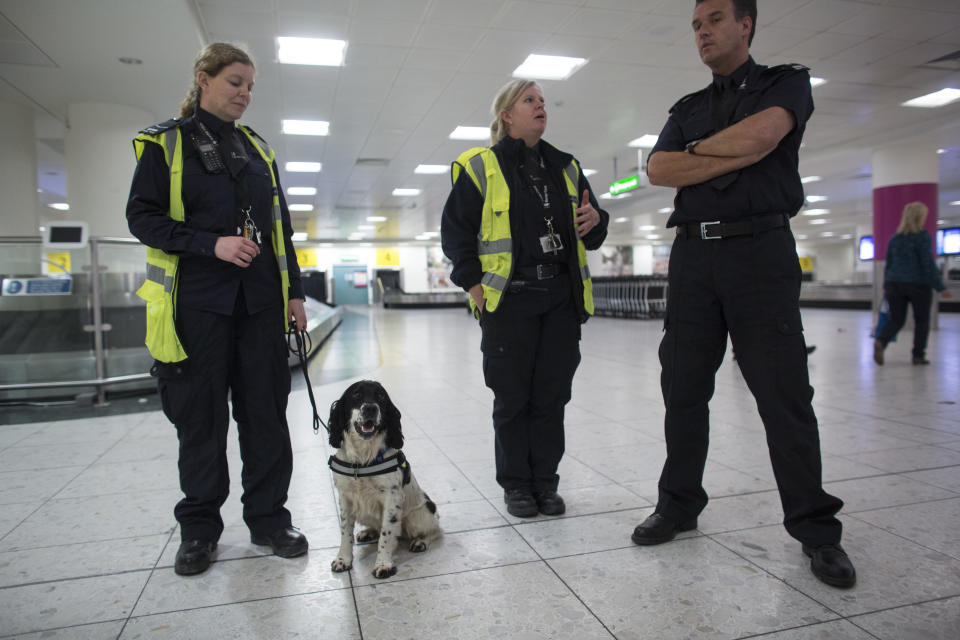 LONDON, ENGLAND - MAY 28:  Border Force dog handler Claire Chapman (L) and her detector dog 'Pip' check passengers and luggage arriving at Gatwick Airport for illegal drugs on May 28, 2014 in London, England. Border Force detector dogs are able to sniff out a range of goods which may be being illegally imported into the UK such as: Class A drugs, tobacco, cash, animal products, firearms and smuggled people. Detector dogs began working at the UK border in 1978, when they were initially used to simply detect drugs. Currently Border Force has 74 highly-trained dogs based around the UK. Border Force is the law enforcement command within the Home Office responsible for the security of the UK border by enforcing immigration and customs controls on people and goods entering the UK. Border Force officers work at 140 sea and air ports across the UK and overseas.  (Photo by Oli Scarff/Getty Images)
