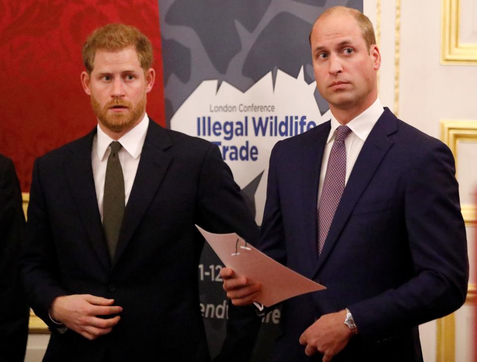 The Duke of Sussex (left) and the Duke of Cambridge during the United for Wildlife Financial Taskforce event at Mansion House in London ahead of an international conference on the illegal wildlife trade.