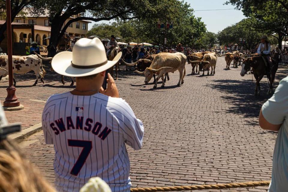 Chicago Cubs fan Ted Derek, 13, watches as the cattle drive make its way down the street surrounded by spectators in the Stockyards in Fort Worth on Thursday.