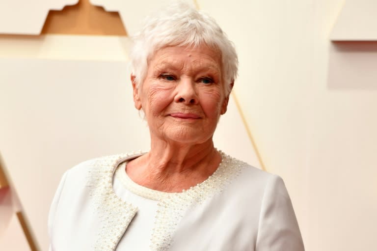 British actress Judi Dench is among the celebrity voices used by Meta's new AI voice chatbot programs (ANGELA WEISS)