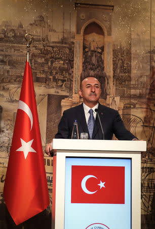 Turkish Foreign Minister Mevlut Cavusoglu speaks during a news conference in Istanbul, Turkey October 29, 2018. Cem Ozdel/Turkish Foreign Ministry/Handout via REUTERS ATTENTION EDITORS - THIS PICTURE WAS PROVIDED BY A THIRD PARTY. NO RESALES. NO ARCHIVE.