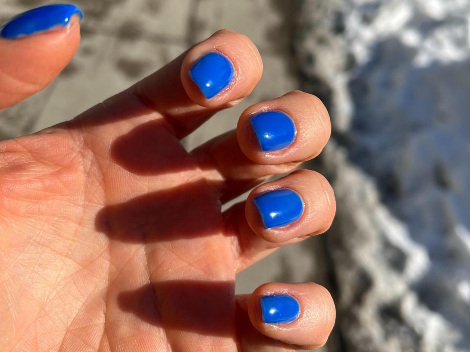 Sarah DiMuro's nails