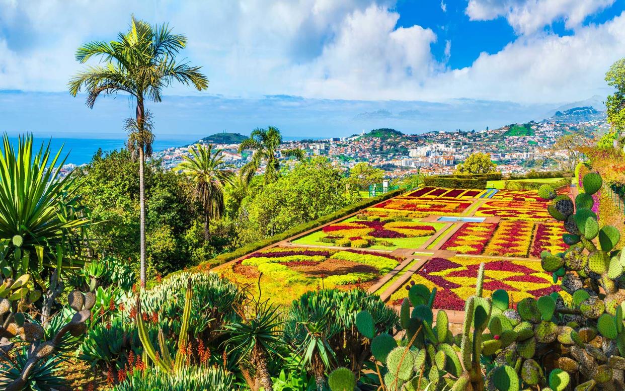 Madeira Botanical Garden has sweeping views over the city of Funchal - iStock