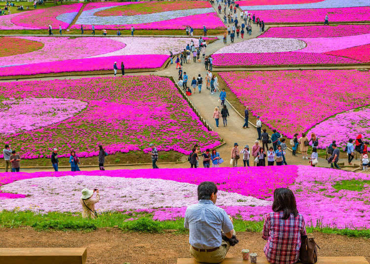 Hitsujiyama Park