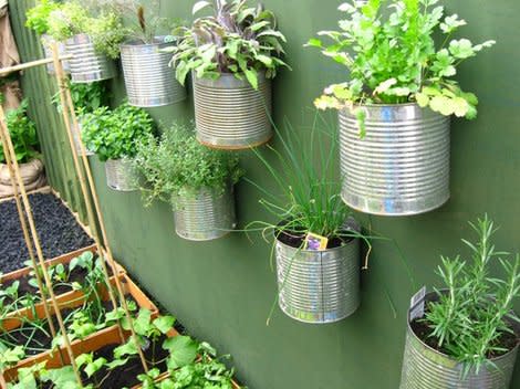 Coffee Can Wall Garden