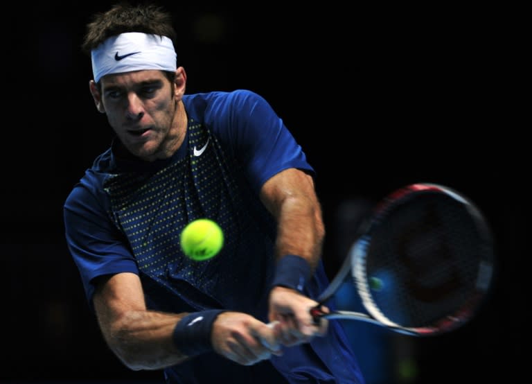 Argentina's Juan Martin Del Potro missed most of the 2014 and 2015 seasons due to a wrist injury