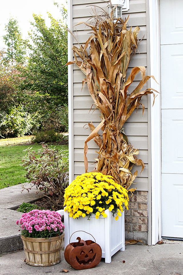 Garage Corn Stalks