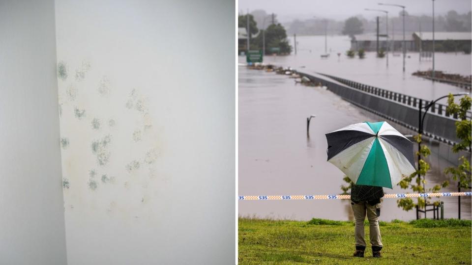 Mould on wall, person with umbrella in floods.