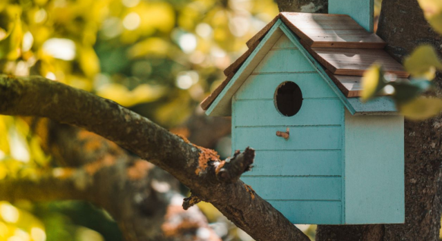 3 erreurs à éviter sur les nichoirs oiseaux. - Permaculture Design