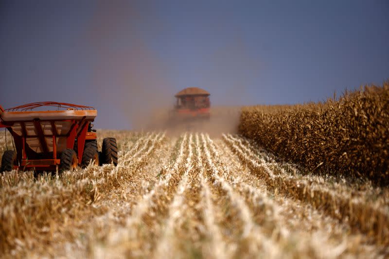 Brazil set to overtake the US this year as the world's top corn exporter