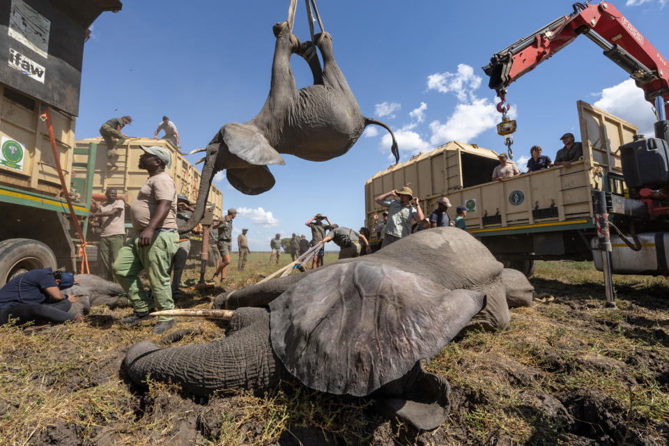 Prince Albert II of Monaco Foundation 2023  Environmental Photography Award