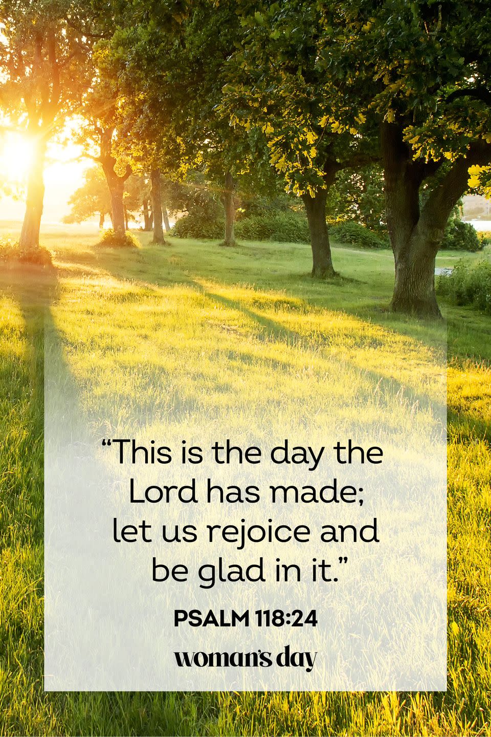 <p>"This is the day the Lord has made; let us rejoice and be glad in it."</p>