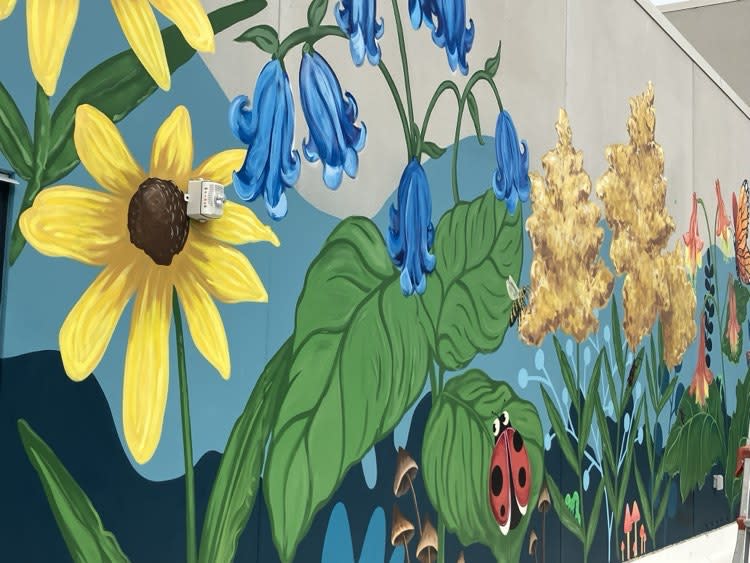 Part of the new YWCA Rock Island mural painted by Atlanta Dawn of Rapids City.