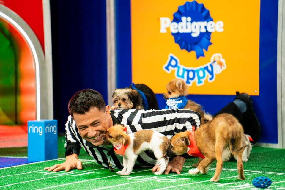 Sweetpea was Puppy Bowl’s tiniest puppy to ever participate. Animal Planet via AP