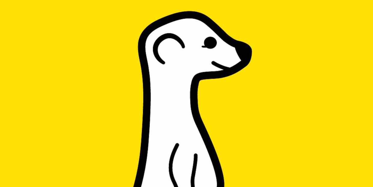 Meerkat Logo