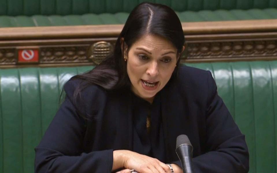 Priti Patel helped set up the taskforce to counter a growing number of pet thefts - PRU/AFP via Getty Images