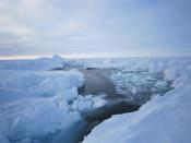 An example of an open lead, the type of terrain Dr. Ross and her team face while journeying to the South Pole.