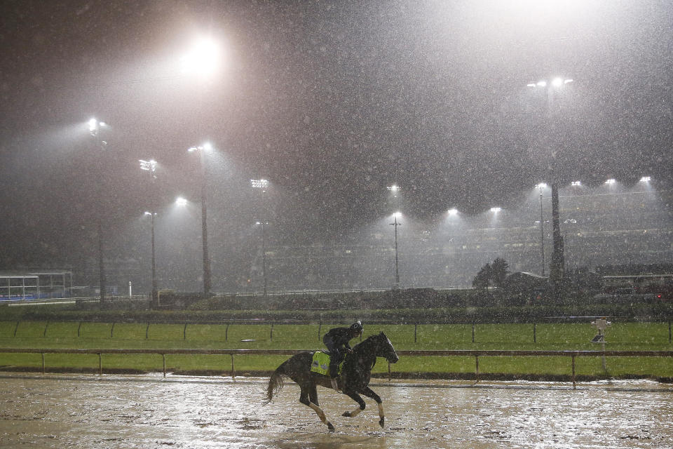 LOUISVILLE, KENTUCKY - MAY 03: Tacitus trains on the track during morning workouts in preparation for the 145th running of the Kentucky Derby. (Getty Images)