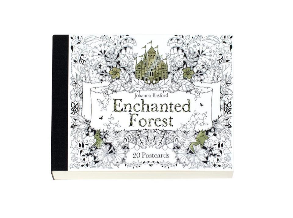 Johanna Basford's lush pen-and-ink designs have taken the adult coloring world by storm, and they're available in a variety of formats. This little booklet of illustrations are well-suited to that friend who always seems to be changing her address or moving to Argentina with that girl he just met. They don't take up much space; each card takes relatively little&nbsp;time to complete; and when it's all colored in, it's the perfect way to drop you a line to say hello.<br /><br /><a href="http://www.amazon.com/Enchanted-Forest-Postcards-20/dp/185669979X/ref=pd_bxgy_14_img_2?ie=UTF8&amp;refRID=0BYJFBT9AMVG3SQ8CE2Q">Find on Amazon.</a>